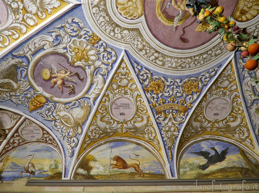 Biella (Italy) - Detail of the vault of the Hall of the Mottos in La Marmora Palace